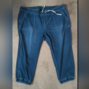 Lane Bryant Super Soft Boyfriend Joggers